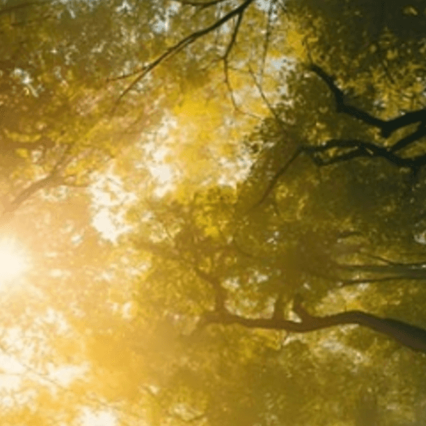 Profile image placeholder